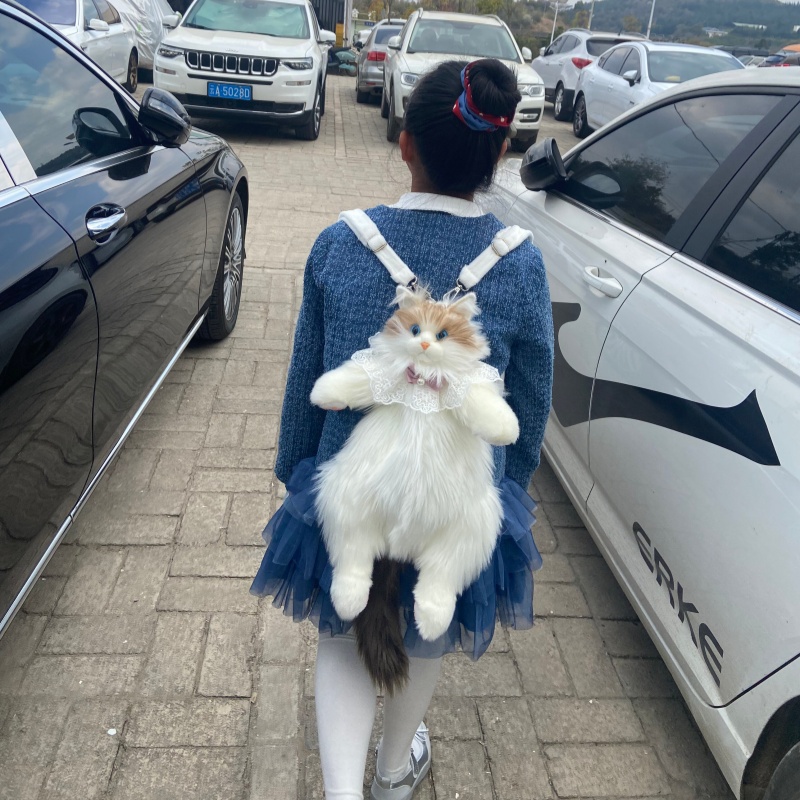 2026 Nieuw in voorraad Ragdoll - Travel Accessories Gift Ideas recensie en prijs