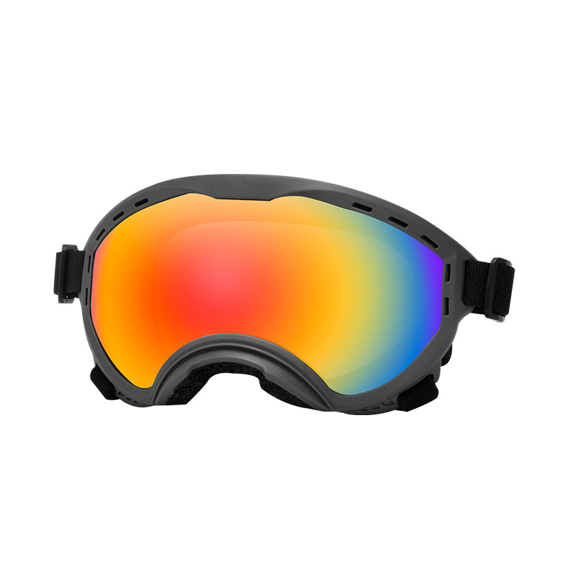 Huisdierbril Windzand UV-besch - Travel Accessories Gift Ideas recensie en prijs