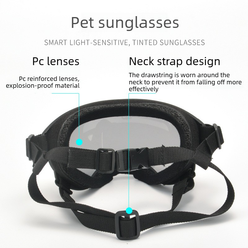 Huisdierbril Windzand UV-besch - Travel Accessories Gift Ideas recensie en prijs