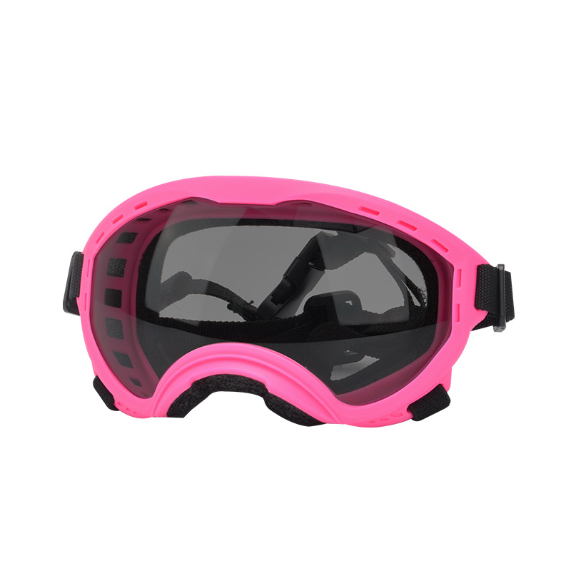 Huisdierbril Windzand UV-besch - Travel Accessories Gift Ideas recensie en prijs